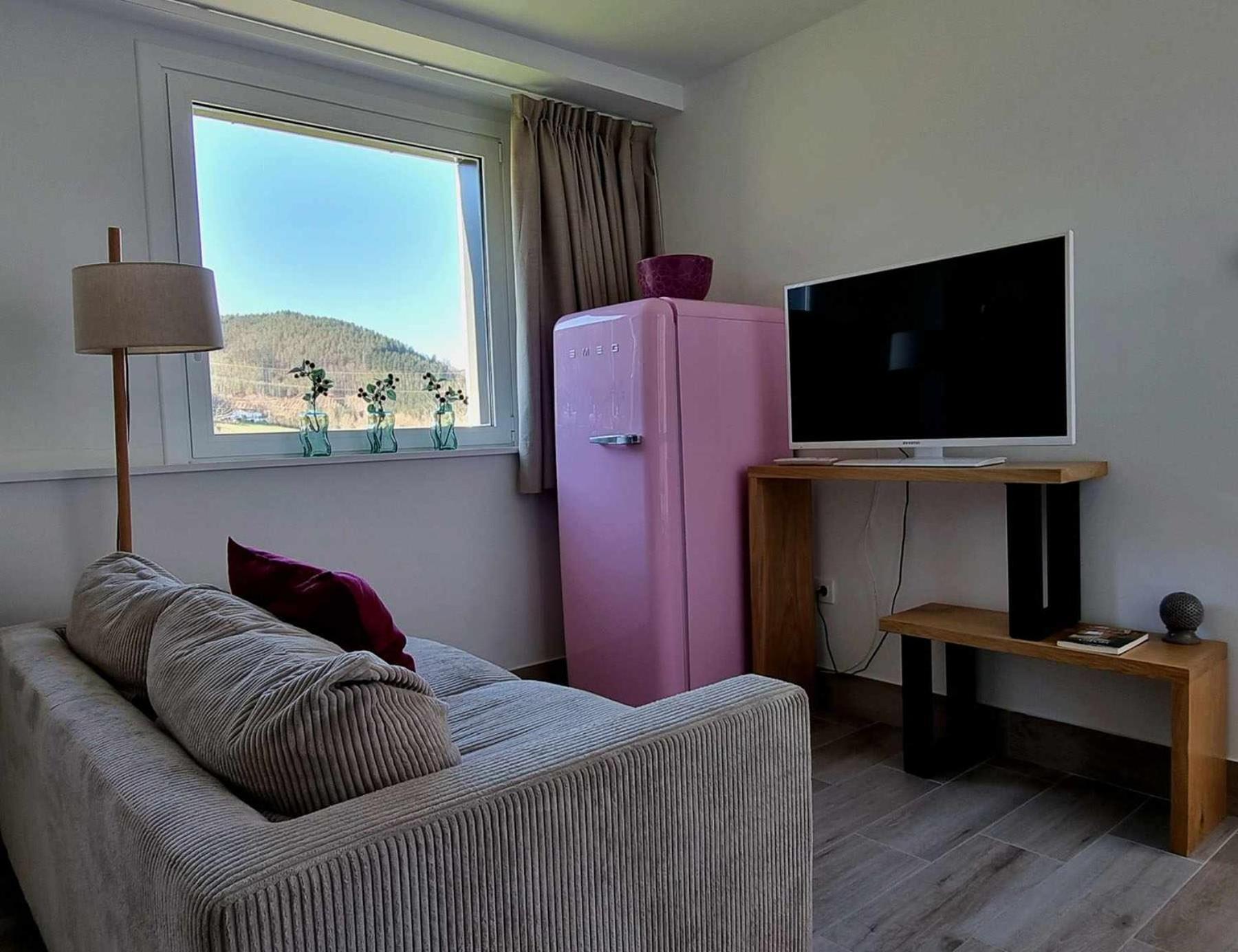 Bergaretxe Geltokia Apartment Legazpia Phòng bức ảnh
